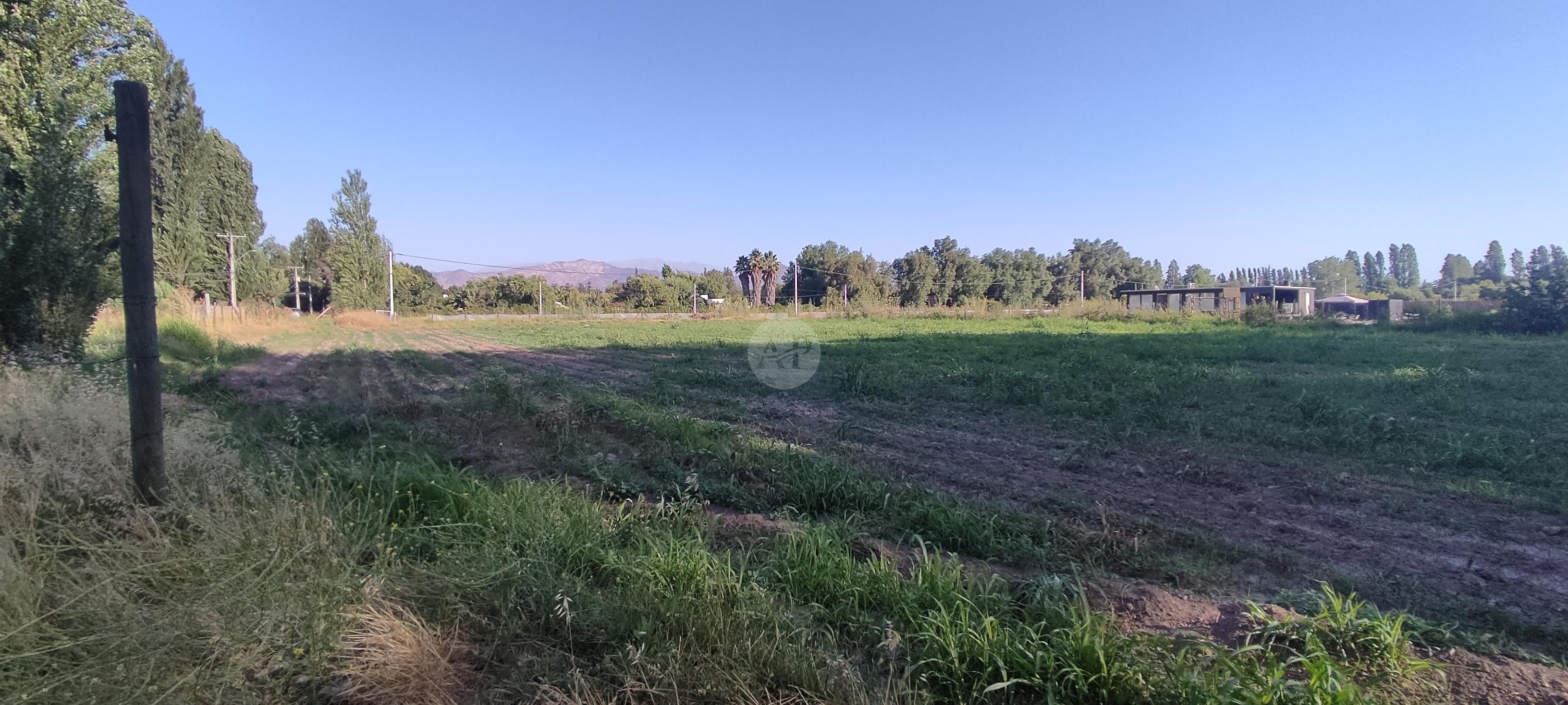 VENTA SITIO CONDOMINIO LOS PEUMOS COLINA